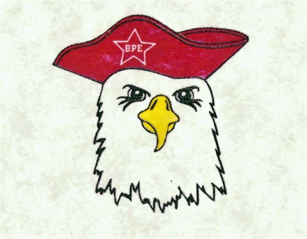 drawing of eagle wearing a hat 